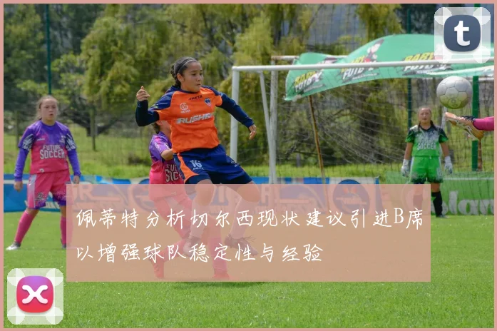 佩蒂特分析切尔西现状建议引进B席以增强球队稳定性与经验