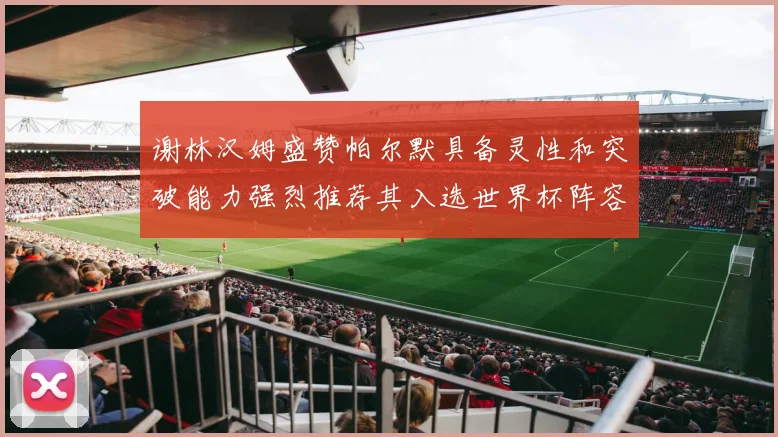 谢林汉姆盛赞帕尔默具备灵性和突破能力强烈推荐其入选世界杯阵容